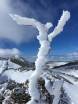 Mid_ winter_Perisher_wonderland