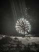 Perisher_fireworks